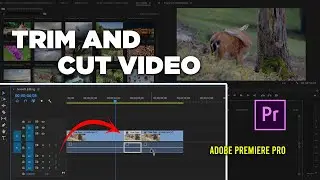 How To Trim And Cut Video - Adobe Premiere Pro Tutorial
