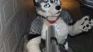 I’m going furry hunting. Wanna join my fellow comrades?