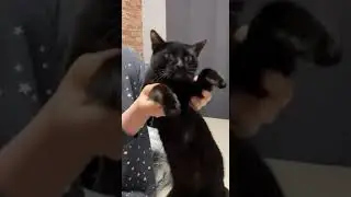 ❤ Ауф