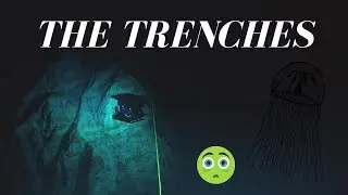 Let's Learn the Layers of the Ocean | The Trenches (The Hadalpelagic Zone) For Kids! #Deep