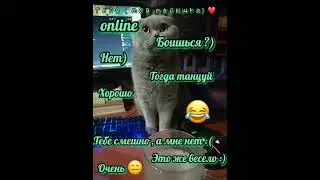 Переписка с Кириллом 💞