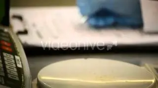 Stock Footage - Analyzing Avocados | VideoHive