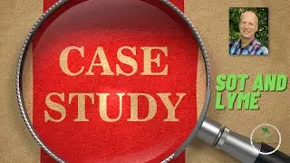 Successful response to SOT for Lyme Disease and Bartonella