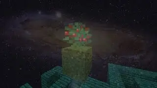 Совершенное существо...