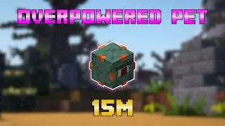 This CHEAP Pet Does INSANE Damage In Hypixel Skyblock