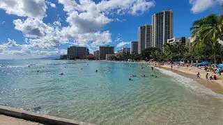 LIVE in Wakiki, Hawaii on Oahu! Come Chat and Chill!