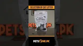 selection of cat litter