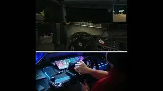 Euro Truck Simulator 2 | PXN-V10