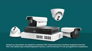 TP-Link VIGI | Как управлять камерами, подключёнными к VIGI NVR