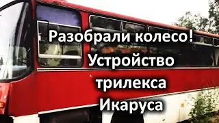 Как разобрать трехсегментное колесо Икаруса. Трилекс изнутри!