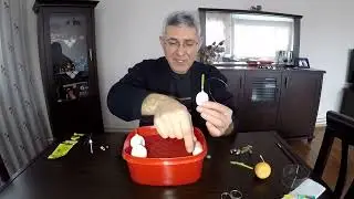 (181) KALAMAR TOPU-ŞAMANDRASI NASIL YAPILIR ?