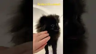 Кулёма 2.0 в ванной!