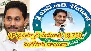 AP: వైఎస్సార్ చేయూత 18,750 మరోసారి వాయిదా // ysr cheyutha 2024, #ap #ysrcheyutha #ysrjagan