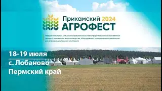 Агрофест 2024
