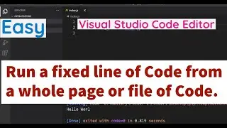 How to run a fixed line of code from a whole page or file of code in Visual Studio Code Editor