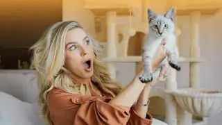 We rescued a kitten during a hurricane… | Storytime