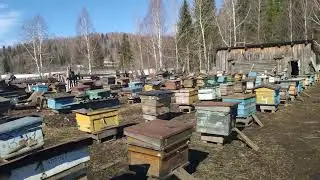 Итоги зимовки 2022-23 год.