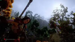 [Game Glitch] DA:I - Fly-by
