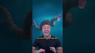 Uma COBRA GIGANTE vivia no BRASIL