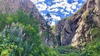 10 senderos para hacer esta primavera en Tenerife