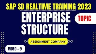 SAP SD || ENTERPRISE STRUCTURE  - Assignment Video 9 || SAP SD Realtime Training Course 2023 