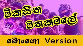 Wikasitha Wathakamale | විකසිත වතකමලේ | Bongo Cover
