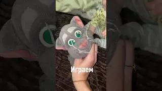 Все любят котиков 😻 