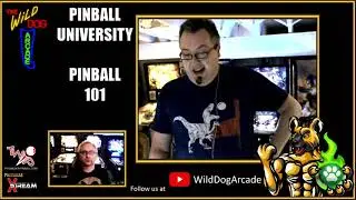 FM:Online 2020 - Wild Dog Arcade