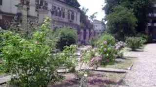 Orto Botanico - roseto