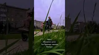 Те самые мамы блогерЫ 🫣