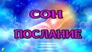 Жизнь после смерти. СОН - способ Успокоить Живых / аудиокнига - 7 (Люкман А.)/2023 //ЛУНА - ДУША