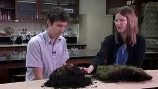 Forest Floor - Humus Form Orders Part 1