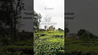 Guru Terbaik #shortvideo #shorts #short #katakatabijak #motivasi #motivasidiri #quotes #trending