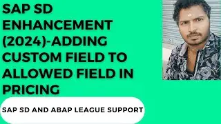 SAP SD Enhancement (2024)-Adding custom field to allowed field in pricing
