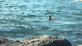 geneve plage