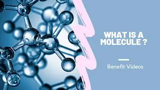 What Is A Molecule ?