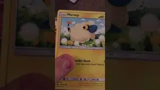 Opening a Salamence tin