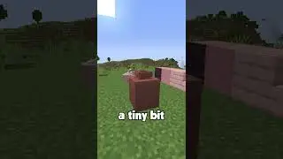 Snapshot Time! 