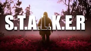 STALKER - The Video Game Saga That SURVIVED THE WAR