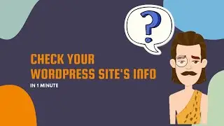 Check Your WordPress Site's Info