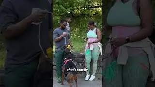 Your goal should be to teach your dogs how to follow your leash guidance
