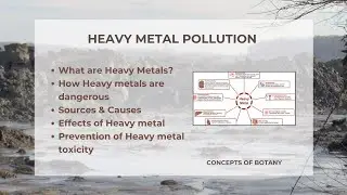 Heavy Metal Pollution| Sources, Causes, Effects, Control & Prevention| Concepts of Botany
