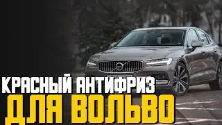 Лью в Вольво Т5 2.2 бензин красный антифриз насколько это критично и какие последствия ждут?