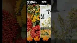 Золотая осень