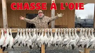 Chasse à l’oie blanche avec La Cache Outfitters (snowgoose hunt)