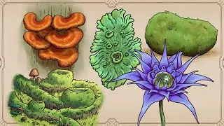 Flora of the Eternal Ruins