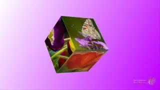 Urok 11-2  3D   Cube Вращение