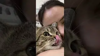 один день с вет врачом, уже на канале