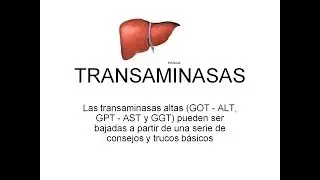 TRANSAMINASAS ALTAS. Cómo reducirlas