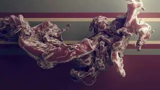 SCVE - Appareance